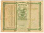 American Newsboys  Company  Stock Certificate  District Of Columbia  1905