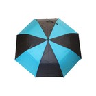 Automatic Open Two Person Rain Umbrella Black Teal