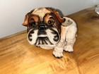Vintage Ceramic Planter English Bulldog With Sneakers Succulents 1980s