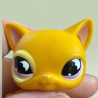 Lps  855 Orange Short Hair Cat Moon Eyes Hasbro 2008 Littlest Pet Shop Figure