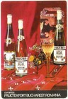 Romania Vineyards Wine Catalogue Brochure Map Advertising For Export 1970 s
