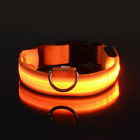 Led Nylon Dog Collar Night Safety  Flashing  Luminous  Adjustable Pet Accessory