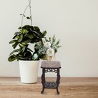 Indoor Plant Stand Wooden Flower Pot Stand Solid Wood Garden Plant Pot Riser New