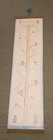 Peter Rabbit Growth Chart Kids Nursery Hang Wall Art Beatrix Potter 1976 Vintage