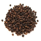 Tellicherry Peppercorns  Black   Bulk   Spice Jungle