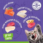 Purina Friskies Pate Wet Cat Food Variety Pack  pack Of 40  5 5 Oz  Cans