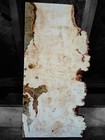 Xl Mind Blowing Birdseye Maple Burl Wood Slab  Craft Wood Turning Wood Burl Wood