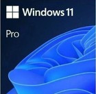 Microsoft Windows 11 Professional 64-bit - Usb Drive - New Sealed Retail Package