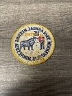 Vtg Minneapolis Jaycees Minnesota Patch Paul Bunyon   Babe The Blue Ox Bsa031