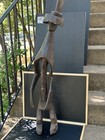 Authentic Antique Mumuya Figure - 39  Nigerian Tribal Art Sculpture