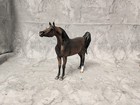 Cm Resin    Dapple Bay Arabin Stallion    Lsq  Venti Scale