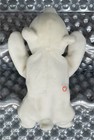 Authentic Ty Beanie Babies Chilly Polar Bear 1st Gen  no Hang Tag 