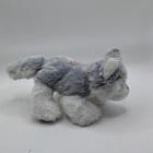 Ganz Webkinz Gray   White Husky 7  Plush Stuffed Animal Toy Hm120 No Code