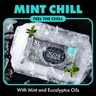 Dude Wipes Mint Chill Flushable Wipes - Extra-large Adult Wet Wipes 1 Pack 48 Ct