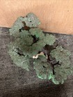 Rare - 2006 Schleich Acacia Umbrella Tree - Retired 30654 Safari  Incomplete
