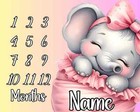Elephant Milestone Blanket For Baby Girl  Personalized Name  Baby Shower Gift