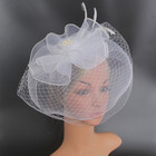 Vintage Style Ladies Fascinator Hat With Veil Wedding Party Tea Cap Headpiece