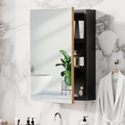 Wall Mounted Bathroom Cabinet Medicine Cabinet Organizer W  Mirror Door