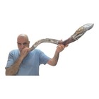 Lion Of Judah Silver Plated Kudu Shofar 36 -40  Authentic Kosher Yemenite Horn