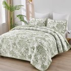 Botanical Quilt Set 3 Pieces Toile Floral Plants Printed King Sage Green
