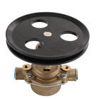 Raw Water Pump For Sherwood Pleasurecraft Jabsco G20 G21 Ra057007 18830-0010