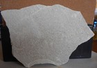 Fossil Fish   Wyoming Green River Formation   Dino   50 Million Years  7 0  Long