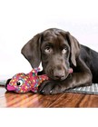 Kong Wubba Finz Large Multicolor Dog Toy With Floppy Tails Tug Squeaker New