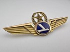 Rare Eastern Airlines Senior Captain Pilot Wing 10k Gold Filled Back Pin 3 25 