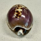 Tiger Cowrie Carved Shell Religious Cross Theme Souvenir Collectible Gift
