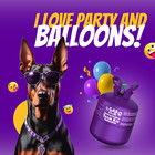 Large 22l Helium Tank Balloon Kit Gasclub For Balloons Party Wedding Banquet Us