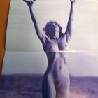 Madonna 1992 Nude Poster Magazine Pin Up Vintage 23 2x10 0in Japan