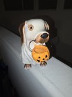 Halloween Dachshund Ghost Sheet Dog Mummy  Pumpkin Resin Figurine New