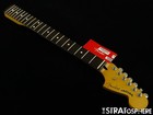 Fender Player Ii Jaguar Series Neck  tuners 9 5  C Shape  Guitar Rosewood