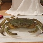 Plastic Shellfish Crab Figurine Replica Model - Made In China