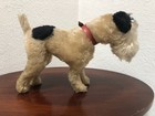1934 Steiff  fox  Foxy Terrier Mohair Standing Dog 28cm  Ff Button  Collar Clean