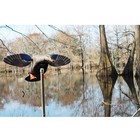 Mojo Elite Series Mini Mallard Hen  Remote Ready  Spinning-wing Decoy  hw2471_3p