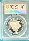 2004-w  100 American Platinum Eagle Statue Of Liberty Pr69 Dcam Pcgs 47079640