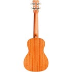 Cordoba 15cm Matiz Concert Ukulele Classic Blue