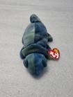 Ty Beanie Baby Rainbow The Chameleon Very Rare First Run Tag Errors Iggy Fabric 