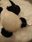Ty Retired Beanie Baby Easton Panda 2000 With Errors