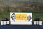 Essential Oils By Pure Essential 100  Pure Therapeutic Grade Oil Kit 10ml  Set-6