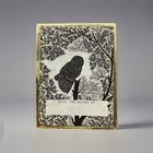 Vintage Ex Libris 48 Bookplates Antioch Bookplate Ohio Owl Trees From The Books