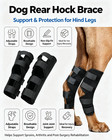Canine Dog Rear Hind Leg Hock Brace Ankle Joint Support Wrap Pet Leg Protector