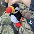 Ty Beanie Baby Puffer 1997 With Tag Errors P e  Pellets   Korean Markings
