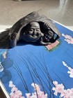 Vintage Asian Japanese Or Chinese Intricately Carved Men Under Turtle Shell