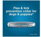 Flea   Tick Collar 8 Months Protection For Large Dogs - Over 18lbs 2 Packs
