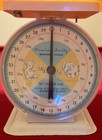 Vintage American Family Nursery Scale 30 Lb