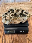 Large Hag Stone 5  Lb Beach Holey Rock Adder Fairy Mystic Magic Natural Or Usa