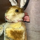 Vintage Steiff Mohair Bunny Rabbit Hand Puppet 1950s Germany No Button tag