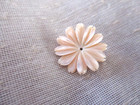 New Hand-carved Pretty Pink Mother Of Pearl Tropical Flower Button   20 5mm